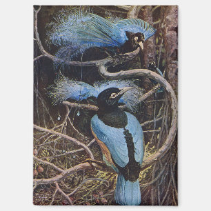Aimant Illustration de Johnston Vintage Blue Bird Paradis