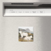 Aimant Illustration de la chèvre des Rocheuses (Capra Ame (In Situ (Lave-vaisselle))