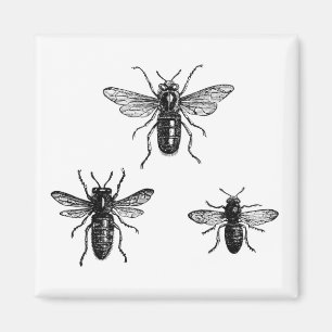 Aimant Illustration de la reine abeille et abeilles ouvri