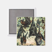 Aimant illustration de l'acadamia de chauve-souris volant (Recto/Verso)