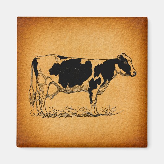 Aimant Illustration de l'ancienne ferme de vache Holstein (Devant)