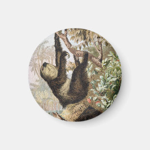 Aimant Illustration de livre vintage de paresseux à deux