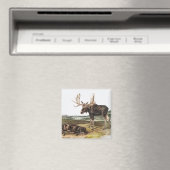 Aimant Illustration de Moose Deer (Servus alces) (In Situ (Lave-vaisselle))