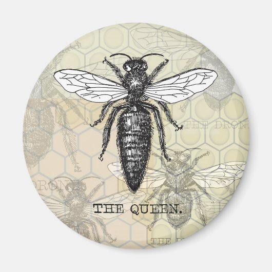 Aimant Illustration de reine abeille insecte (Devant)