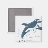 Aimant Illustration des épaulards (Orcinus orca) (Recto/Verso)
