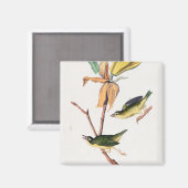 Aimant Illustration des oiseaux de Paruline capturant des (Recto/Verso)