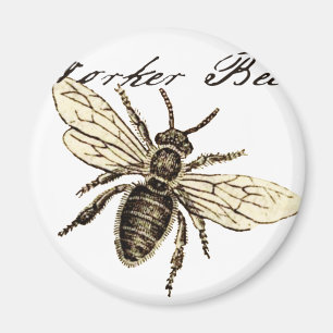 Aimant Illustration d'insecte abeille ouvrière