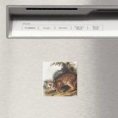 Aimant Illustration du chat sauvage américain (Lynx rufus (In Situ (Lave-vaisselle))