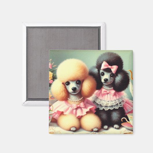 Aimant Illustration du mignon caniche (Recto/Verso)