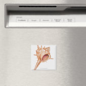 Aimant Illustration du shell Murex (In Situ (Lave-vaisselle))