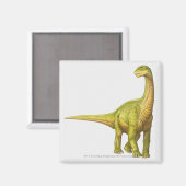 Aimant Illustration d'un Camarasaurus (Recto/Verso)