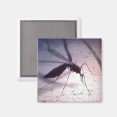 Aimant Illustration d'une piqûre de moustiques (Recto/Verso)