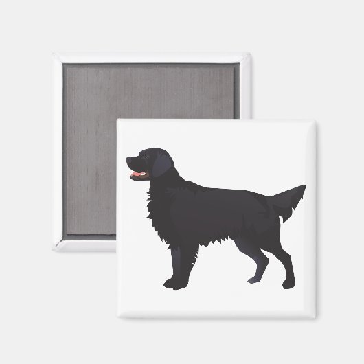 Aimant Illustration Flat-Coated Retriever Dog Breed (Recto/Verso)