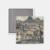 Aimant Illustration from a history of Pérou (Recto/Verso)
