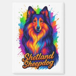 Aimant Illustration Pop Art de Shetland Sheepdog Colorée