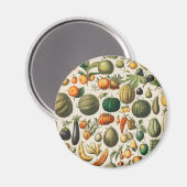 Aimant Illustration scientifique végétale des fruits (Recto/Verso)