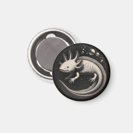 Aimant Illustration Vintage Axolotl (Recto/Verso)