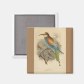 Aimant Illustration vintage de l'Abeille européenne (Recto/Verso)