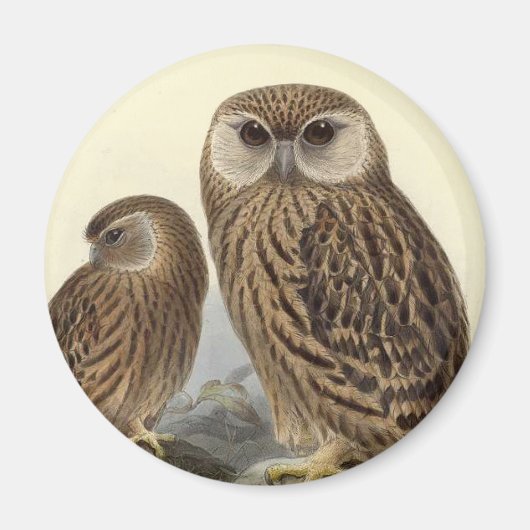 Aimant Illustration Vintage de Laughing Owl (Devant)