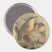 Aimant Illustration vintage de Nuthatch (Recto/Verso)