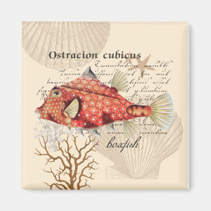 Aimant Illustration vintage de poisson-boîte orange mari