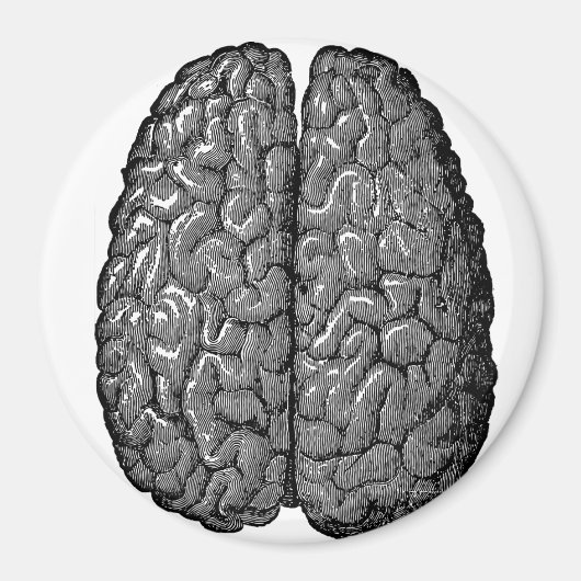 Aimant Illustration vintage du cerveau humain (Devant)