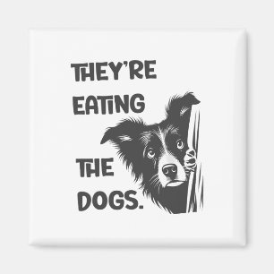 Aimant Ils Mangent Les Chiens Élection Américaine Trump 2