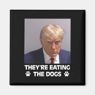 Aimant Ils mangent les chiens Trump 2024 America Électio
