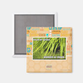 Aimant im dans l'herbe (Recto/Verso)