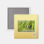 Aimant im dans l'herbe (Recto/Verso)