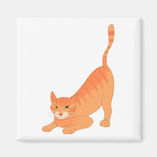 Aimant Ímã gatinho (Devant)