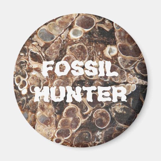 Aimant Image d'agate de Turritella, chasseur de fossiles (Devant)