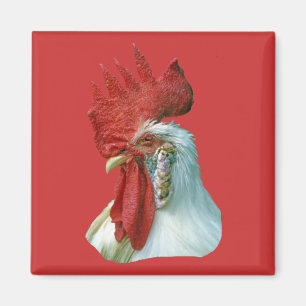 Aimant Image de coq