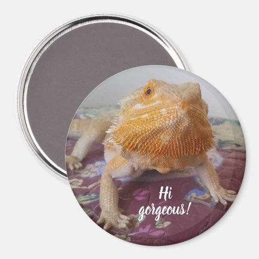 Aimant Image de dragon à oreille mignonne (Recto/Verso)