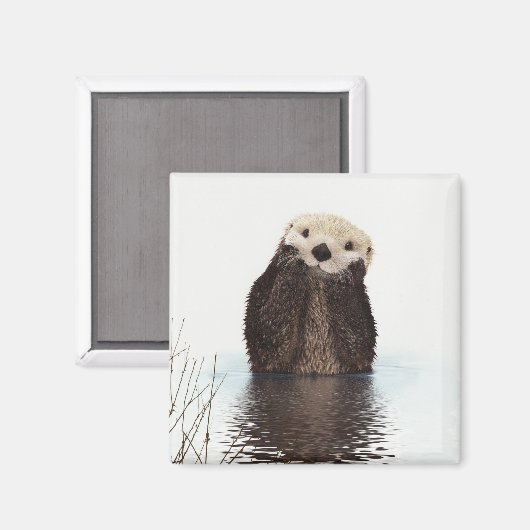 Aimant Image de la faune de Cute Otter (Recto/Verso)