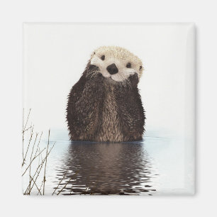 Aimant Image de la faune de Cute Otter