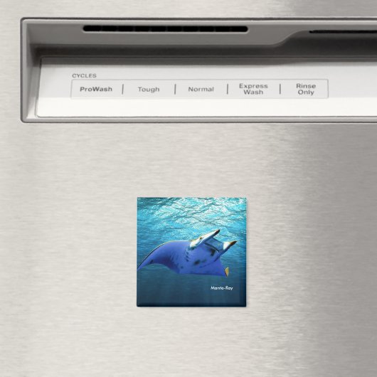 Aimant Image de poisson pour Carré-aimant (In Situ (Lave-vaisselle))