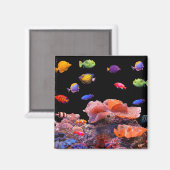 Aimant Image de poisson tropical pour Carré-aimant (Recto/Verso)