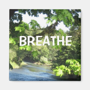 Aimant Image de relaxation