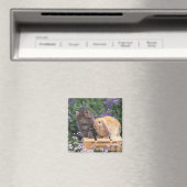 Aimant Image d'un chaton et d'un lapin d'oreille de lop d (In Situ (Lave-vaisselle))