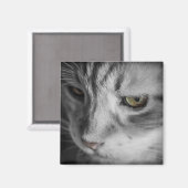 Aimant Image en noir et blanc de chat (Recto/Verso)