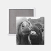 Aimant Images Getty | Chevaux souriants (Recto/Verso)