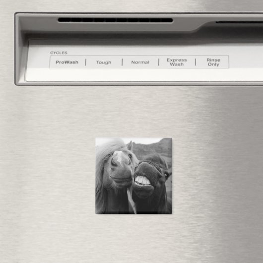 Aimant Images Getty | Chevaux souriants (In Situ (Lave-vaisselle))