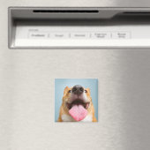 Aimant Images Getty | Corgi très heureux (In Situ (Lave-vaisselle))