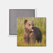 Aimant Images Getty | Drôle bébé ours (Recto/Verso)