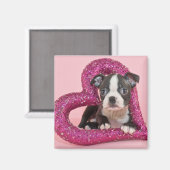 Aimant Images Getty | Puppy Love (Recto/Verso)