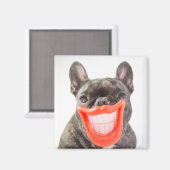 Aimant Images Getty | Un chien souriant (Recto/Verso)