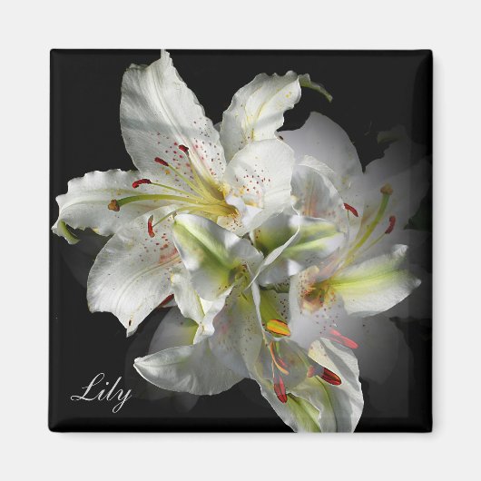 Aimant Imaginaire blanc Lilies (Devant)