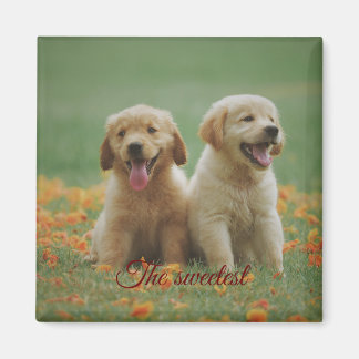 Aimant Iman cuadrado de regalo