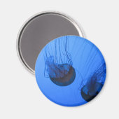 AIMANT IMG_1319 (Recto/Verso)